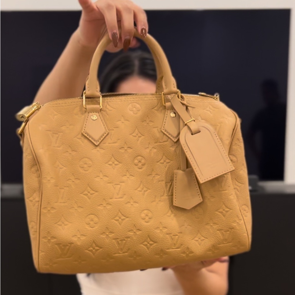 Louis Vuitton Speedy Soft 30